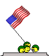 :usasoldiers: :usasoldiers: